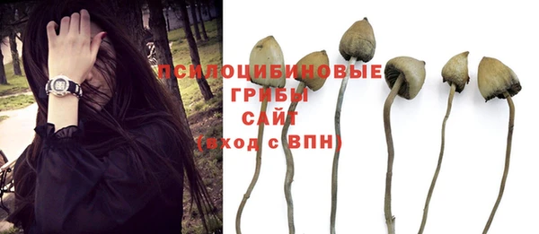 синтетический гашиш Балахна