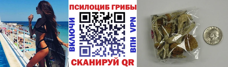 цены   Краснокаменск  Галлюциногенные грибы GOLDEN TEACHER 