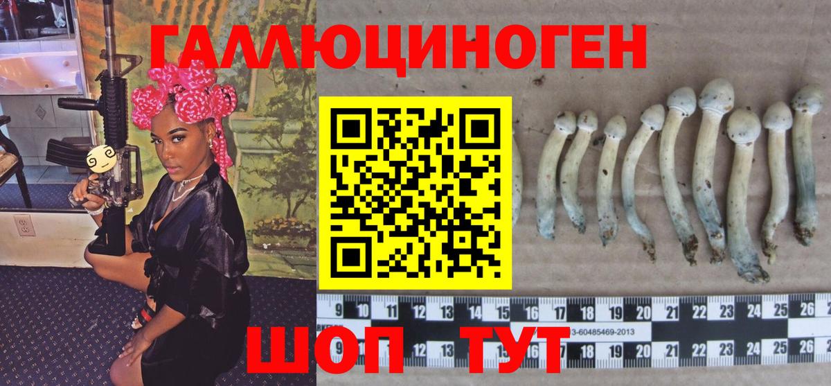Краснокаменск  Псилоцибиновые грибы прущие грибы  Вход с VPN 